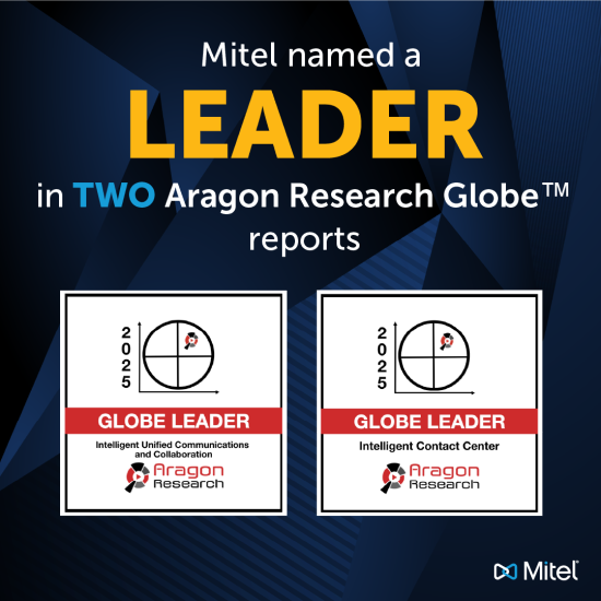 Aragon Both Globes Badges